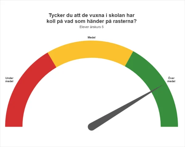 Elever i årskurs 5 på Abrahamsbergsskolan i Stockholm svarar att de vuxna på skolan har bra koll på vad som händer på rasterna.