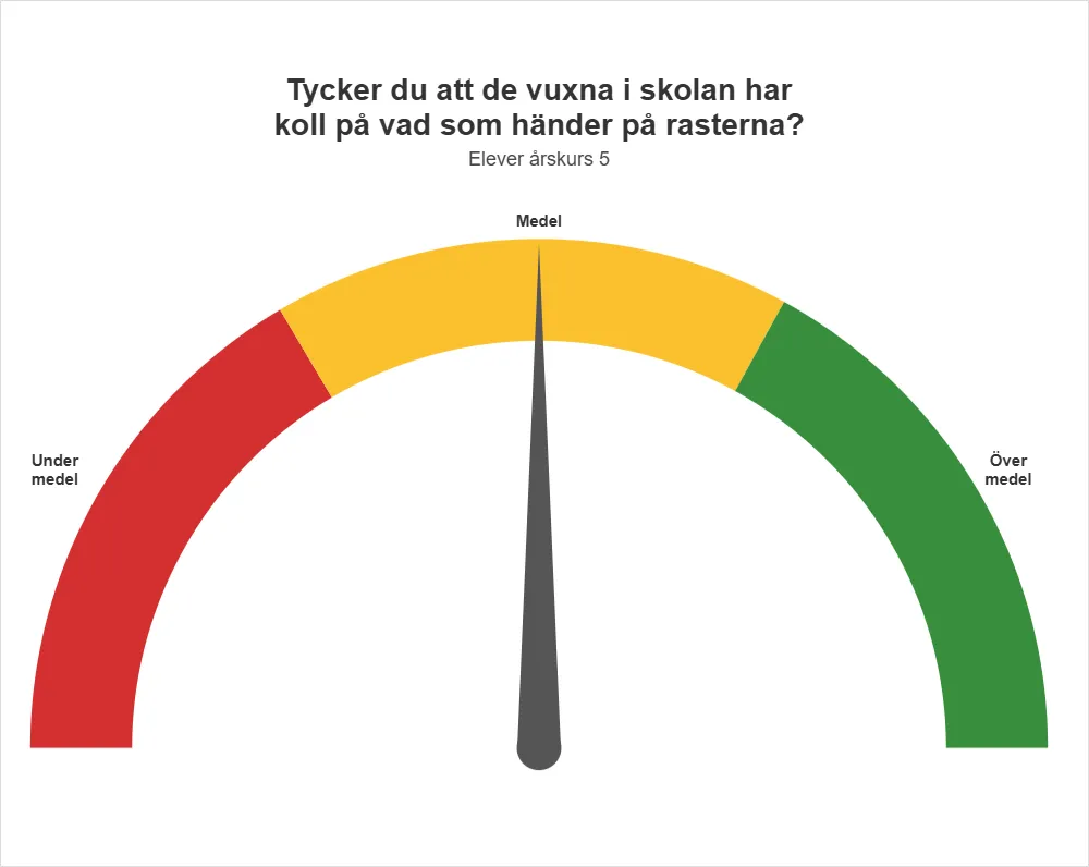 Skolinspektionen frågar vartannat år elever på Åby skola i Växjö i årskurs 5 om hur de upplever vuxnas kontroll på rasterna. På Åby skola svarar de att de vuxna har koll på vad som händer på rasterna."
