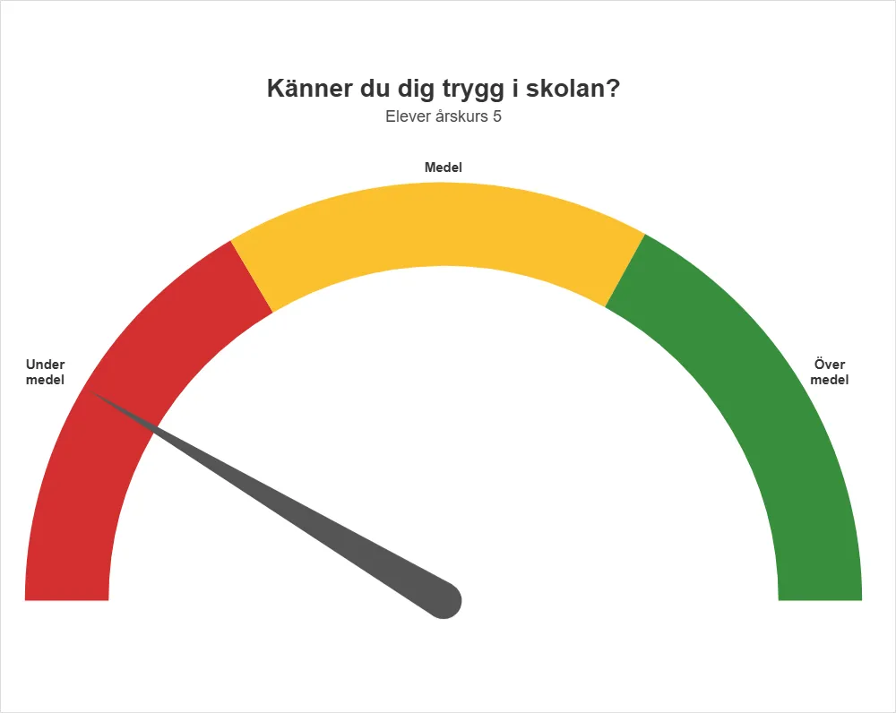 Skolinspektionen frågar vartannat år elever på Algebraskolan i Göteborg i årskurs 5 om hur de upplever tryggheten på skolan. På Algebraskolan svarar de att de inte upplever samma trygghet som elever på andra skolor."
